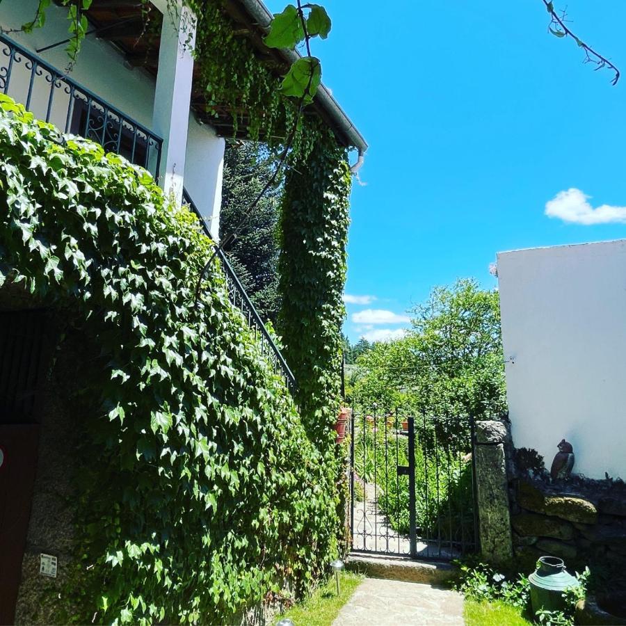Parambos Casa Do Beco B&B Douro - Guest House מראה חיצוני תמונה
